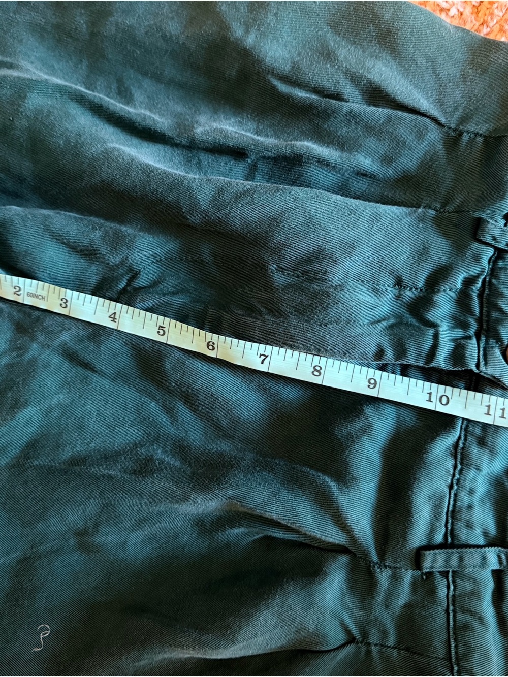DONNI Twill Pleated Stripe Pants - Picture 13 of 14